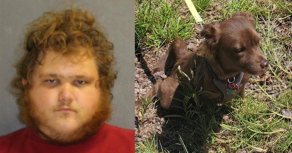 Florida man arrested for possession of child porn, animal ...