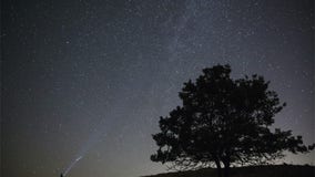 Perseids, the best meteor shower of the year, will peak next week — here’s how to watch