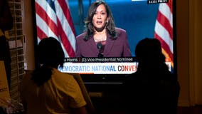 Democratic National Convention viewers adjust to virtual convention