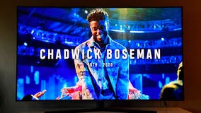 ‘His impact lives forever’: MTV honors Chadwick Boseman at VMAs