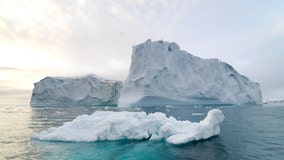 Canada's last intact ice shelf collapses due to warming