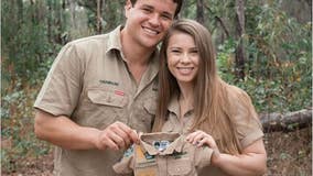 Bindi Irwin and husband Chandler Powell are expecting their first child: 'Baby Wildlife Warrior due 2021'