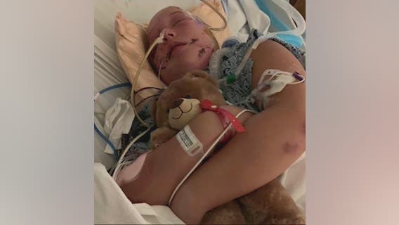 Sheriff issues warning to dog owners after Barrow County teen recovers from vicious dog attack