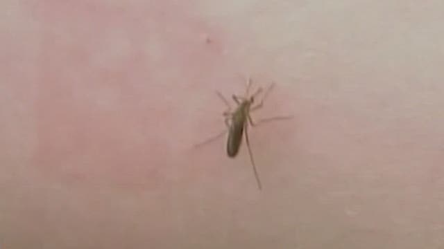 DeKalb County officials document first confirmed West Nile virus case in metro Atlanta