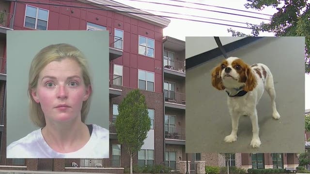 Gwinnett County woman faces animal abuse charges after disturbing video surfaces