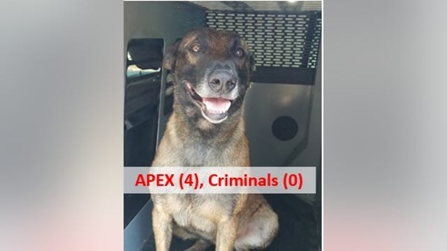 K-9 officer finds Georgia fugitive, car theft suspect under trash can