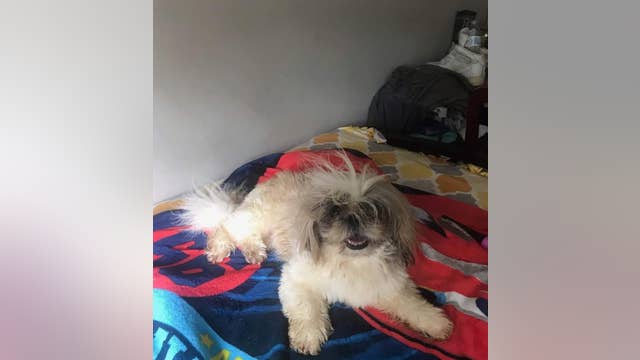 Family says son's service dog is being held for ransom