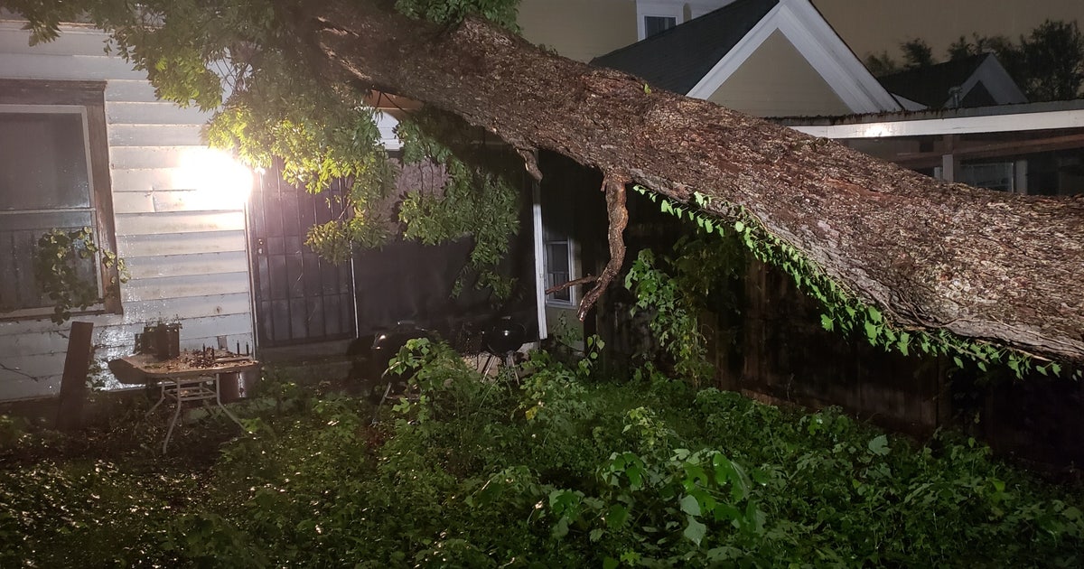 Police rescue woman after tree falls on her NE Atlanta home | FOX 5 Atlanta