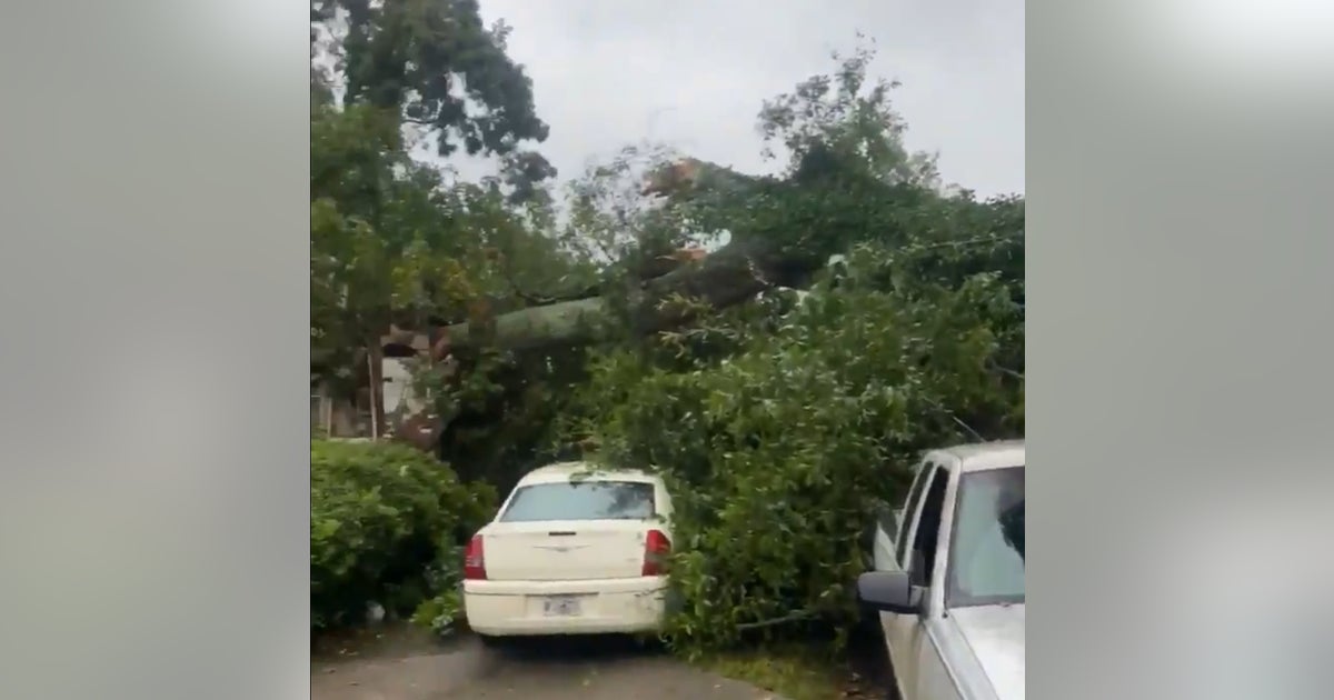 Law school graduate killed after tree falls on SW Atlanta home | FOX 5 ...