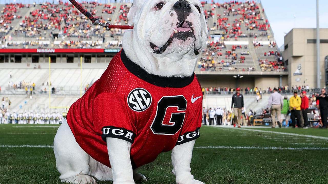 Uga X retiring as the most successful Georgia football mascot ever