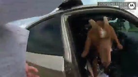 Goat jumps inside Douglas County Sheriff's deputy vehicle, eats paperwork