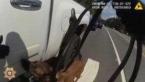 Deputies: Georgia K-9 officer's nose leads to methamphetamine trafficking arrest.