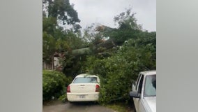 Law school graduate killed after tree falls on SW Atlanta home