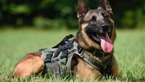 Gwinnett County dedicates dog park to K-9 officer killed in the line of duty