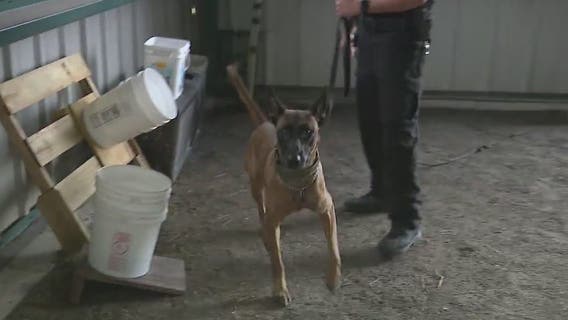 New police recruits to bring more than a strong sense of smell to Conyers