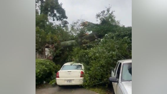 Law school graduate killed after tree falls on SW Atlanta home