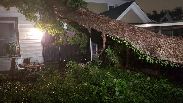 Police rescue woman after tree falls on her NE Atlanta home