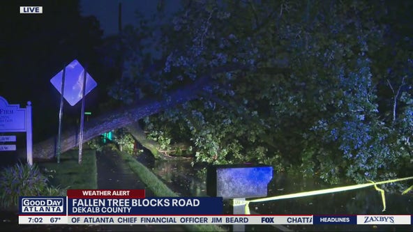 Falling tree blocks DeKalb County road