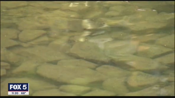 Chattahoochee River Keeper: PPE pollution could impact drinking water