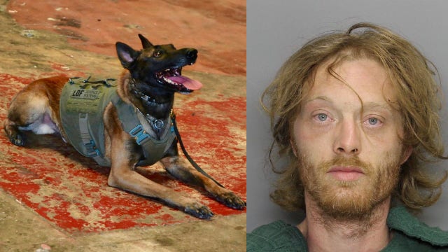 Georgia K-9 officer sniffs out wanted fugitive hiding under tractor-trailer