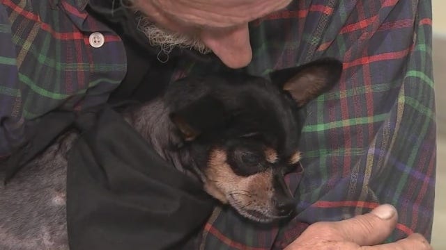 Houston woman helps stranger save dog's life by paying $14K vet bill