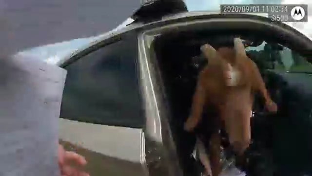Goat jumps inside Douglas County Sheriff's deputy vehicle, eats paperwork