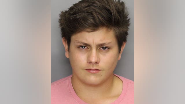 21-year-old charged with deadly I-75 hit and run