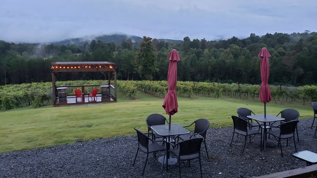 Spending a 'fruitful' morning exploring Gilmer County