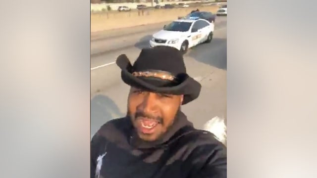 Dread Head Cowboy's horse may need to be euthanized after Dan Ryan protest: prosecutors