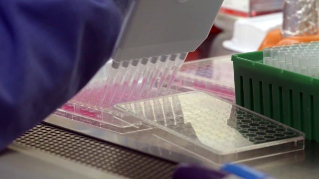 Hillsborough County maintains contract with Quest Diagnostics despite state firing lab company