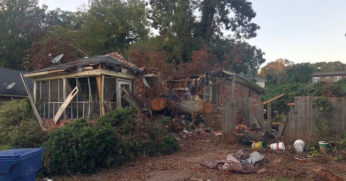 Family seeking closure after tree destroys a SW Atlanta home and kills ...