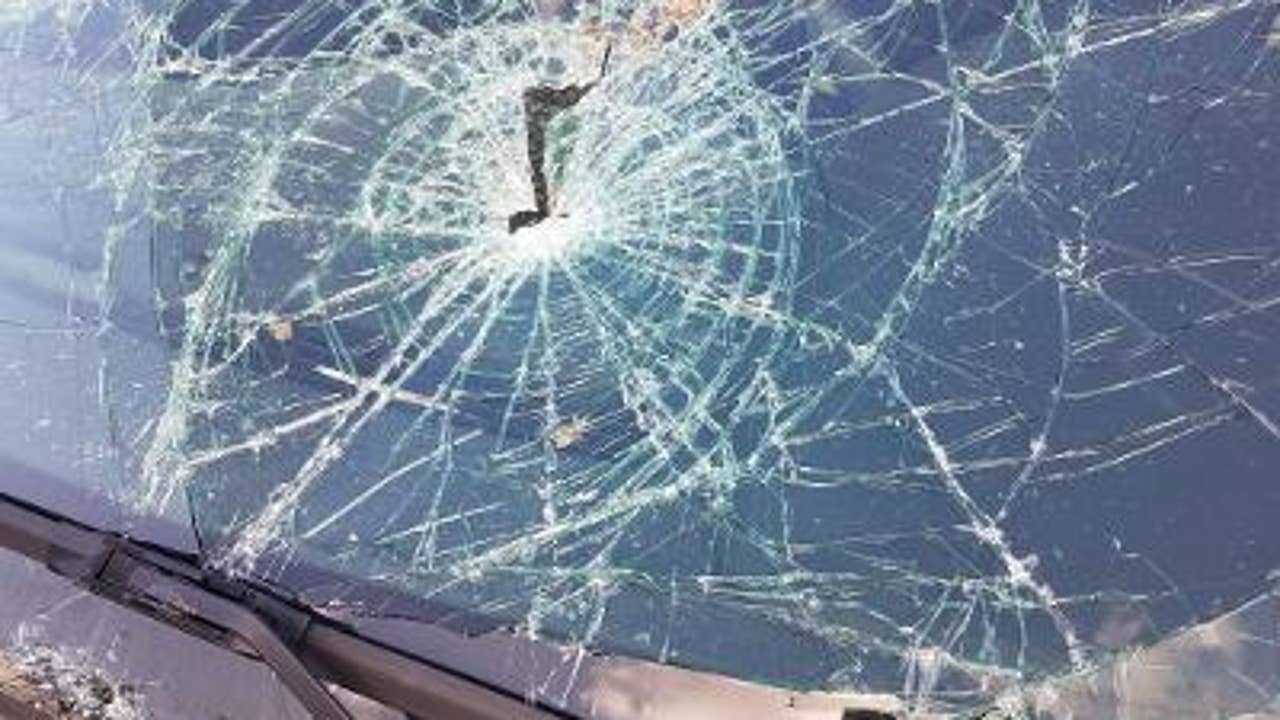 Tree falls and smashes through windshield of patrol car