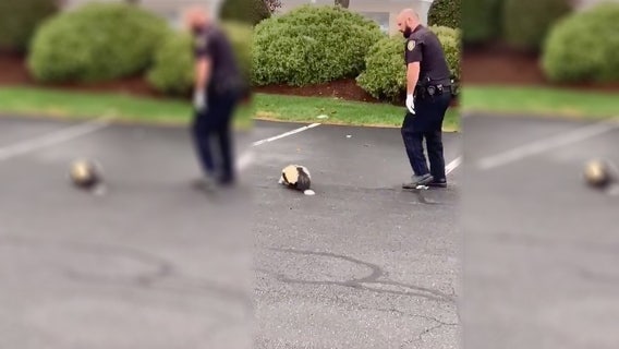Police officer helps skunk with head stuck in container