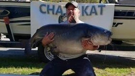 Fisherman breaks Georgia record with massive catfish catch