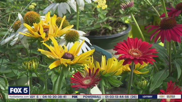 Plants that can withstand Fall temperatures