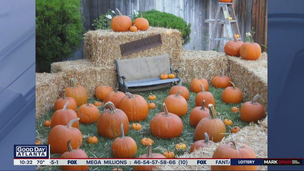 Fun, safe family friendly Halloween activities