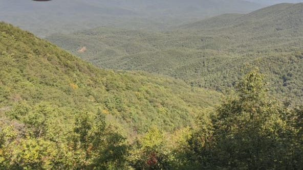 Leaf watch: Green is slowly fading across north Georgia in second week of October