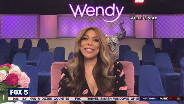 Latest reveal on the Masked Singer