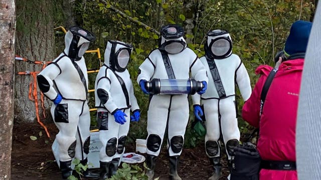 Crews vacuum ‘murder hornets’ out of Washington nest