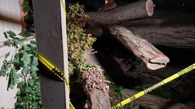 Tropical Storm Zeta sends trees toppling across north Georgia