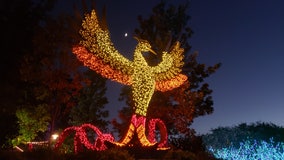 Atlanta Botanical Garden celebrates 10 years of holiday lights