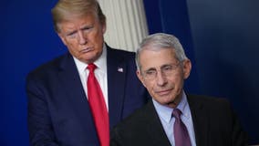 Trump suggests he will fire Fauci after Tuesday’s election