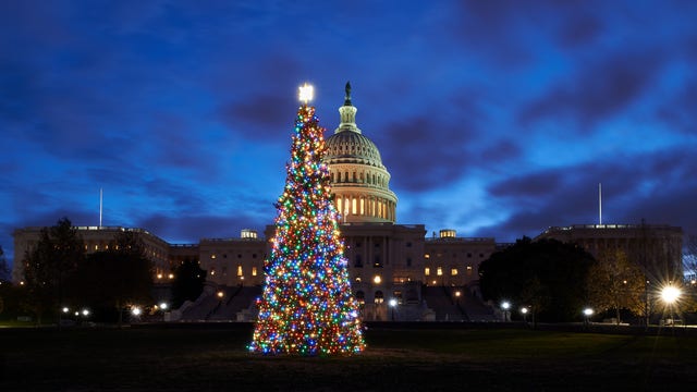 Here's how to track the U.S. Capitol Christmas tree's journey to Washington