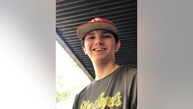 'Words can't describe the pain' --16-year-old killed in hit and run, police looking for driver