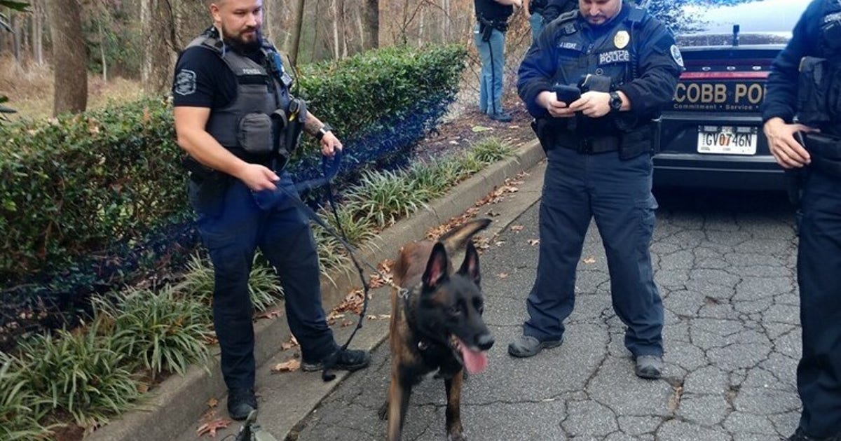 K9 officer praised for tracking suspect in deadly Cobb County ...