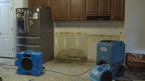 Disabled veteran's home left in ruins during remodeling project