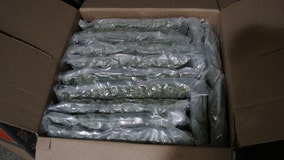 Almost 500 pounds of pot found at Detroit border crossing