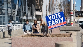 As early voting wraps up, Georgians head to ballot box on last day of 2020