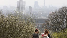 Air pollution ruled as cause of 9-year-old's death in UK