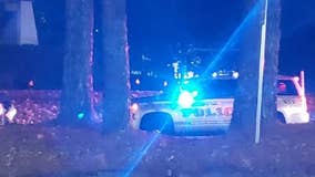 Fight and robbery at Perimeter Mall sends shoppers into panic